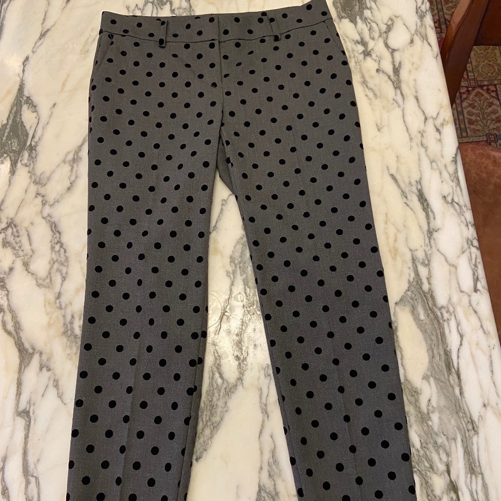 Ann Taylor  Womens Pants